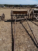 Semeuse ancienne 1 (ph. F. Mrugala, St Jean de Touslas)(1)